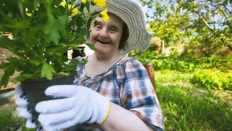 Learning Disabilities