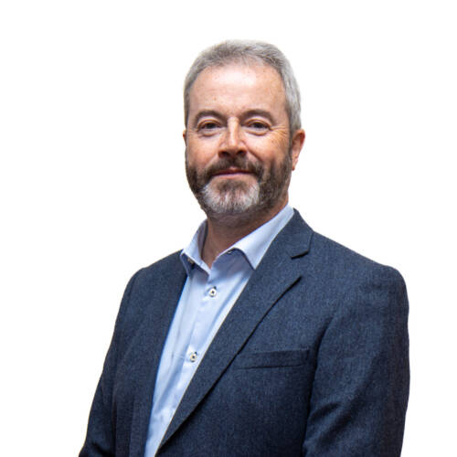 David Quinn profile picture