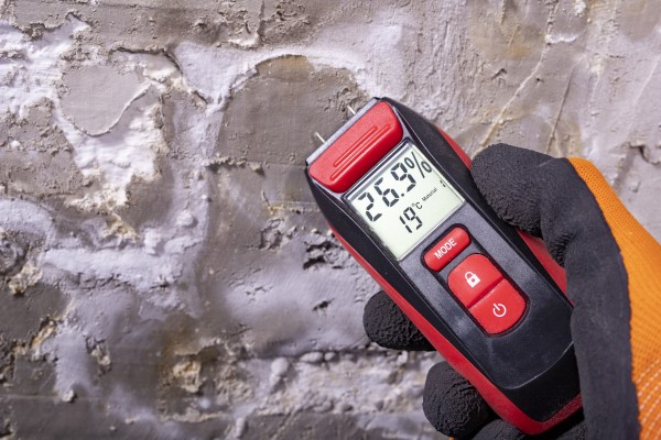 Managing Damp and Mould